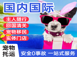 普陀山航空运输国际宠物托运 【国